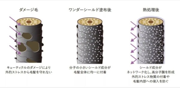 サブリミック ワンダーシールド メカニズム 世田谷区 レイブランカ